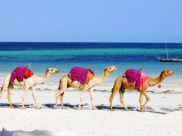 Sharm El Sheikh Turu