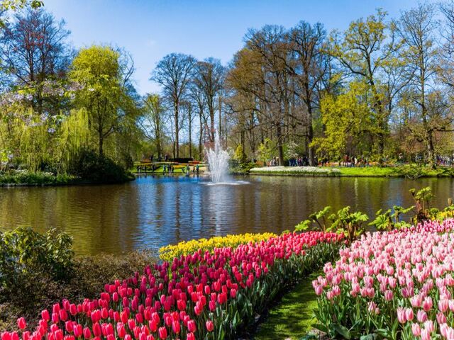 Amsterdam Rüyası - İstanbul Çıkışlı