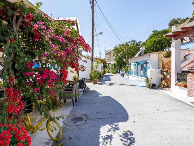 Ege'nin Gizli Cenneti Samos Adası Kuşadası Hareketli ( 4 Gece Konaklamalı Ekonomik )
